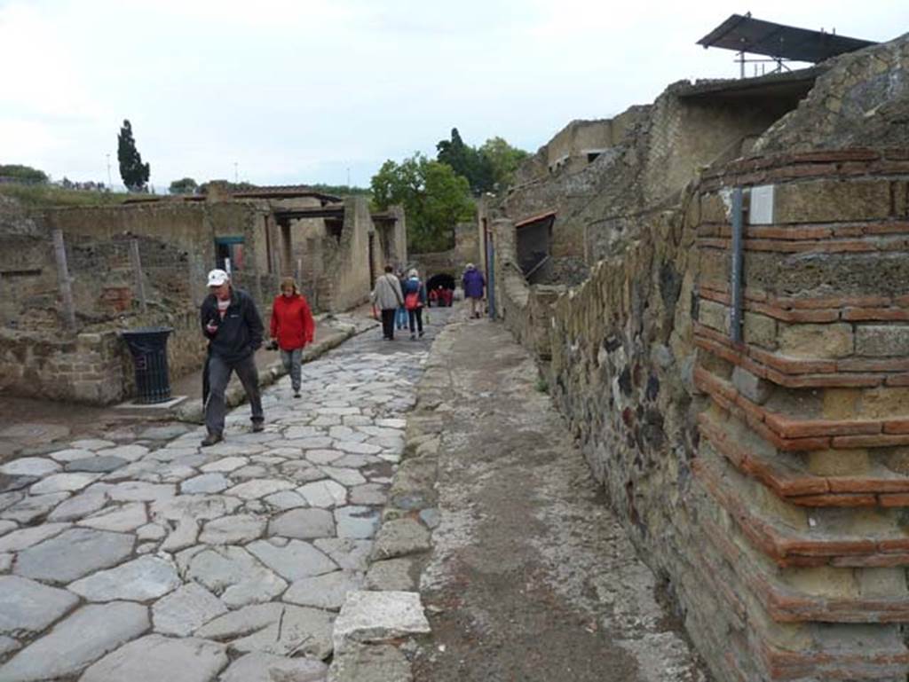 Cardo V, Herculaneum, September 2015. Looking south from near IV.17, on right.